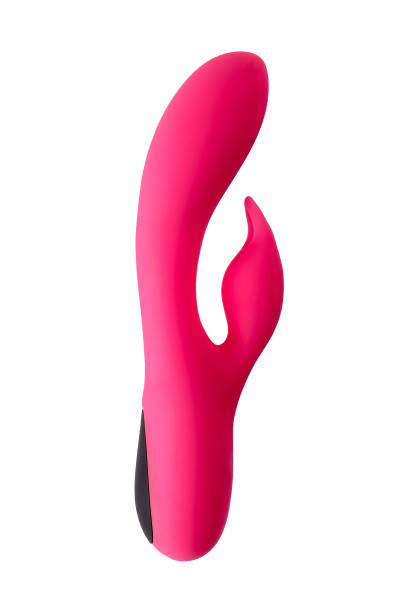DUAL VIBRATOR ROSE V2
