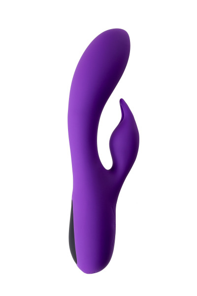 DUAL VIBRATOR VIOLET V2